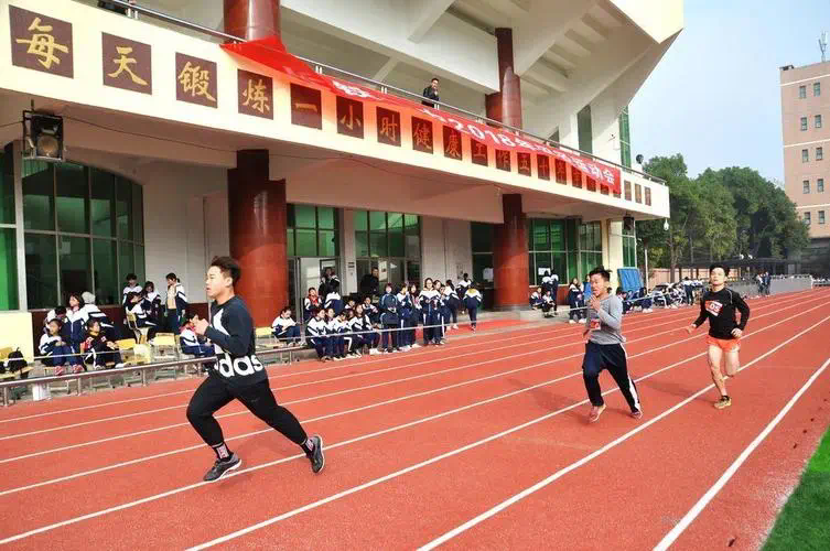新生代网球拍尺寸大小对比
